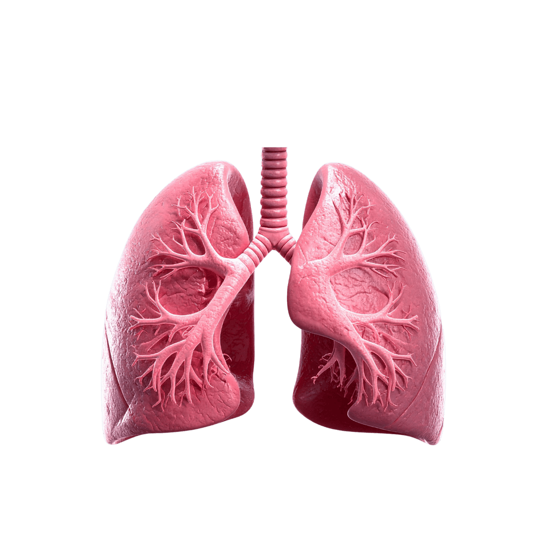Respiratory Disorders
